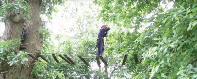  Percorsi ad alta fune 